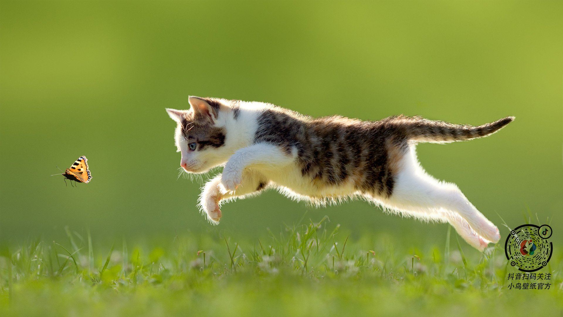 _世界青年赛:未来冠军的摇篮,期待无限_,世界青年锦标赛年龄限制