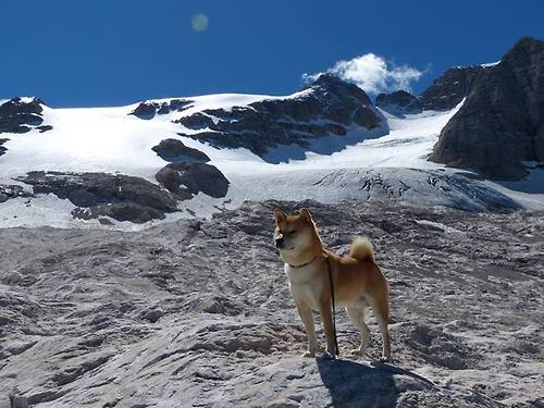 乐鱼电竞在线平台登录入口-“中国女足备战世界杯，青年队员崭露头角”，中国女足世界杯亚军成员-乐鱼电竞在线平台登录入口