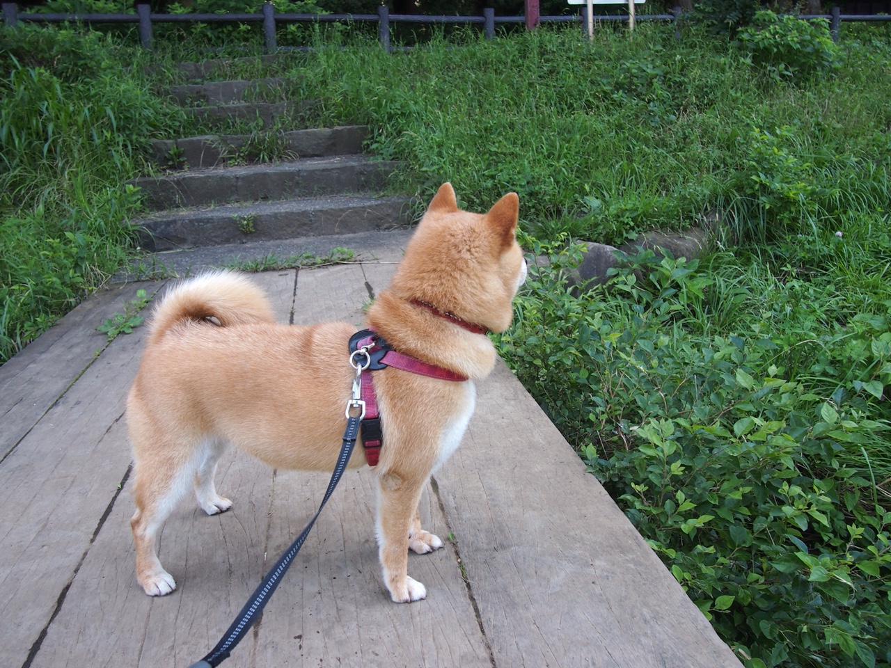 全国青少年排球锦标赛,青春的热血在场上绽放,全国青年排球锦标赛比赛回放