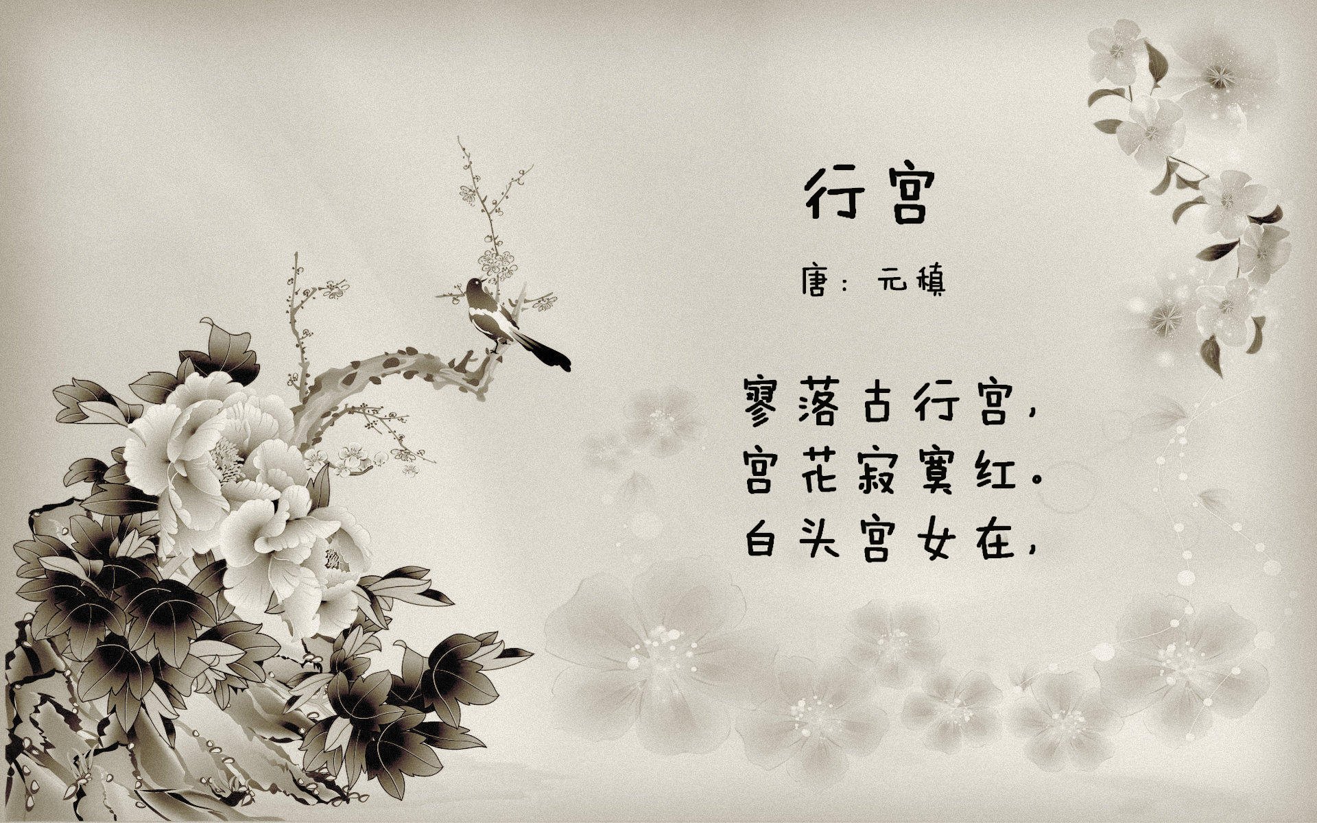 失误频繁：上海队多达20次失误，错失最后反超机会！，上海队比赛视频