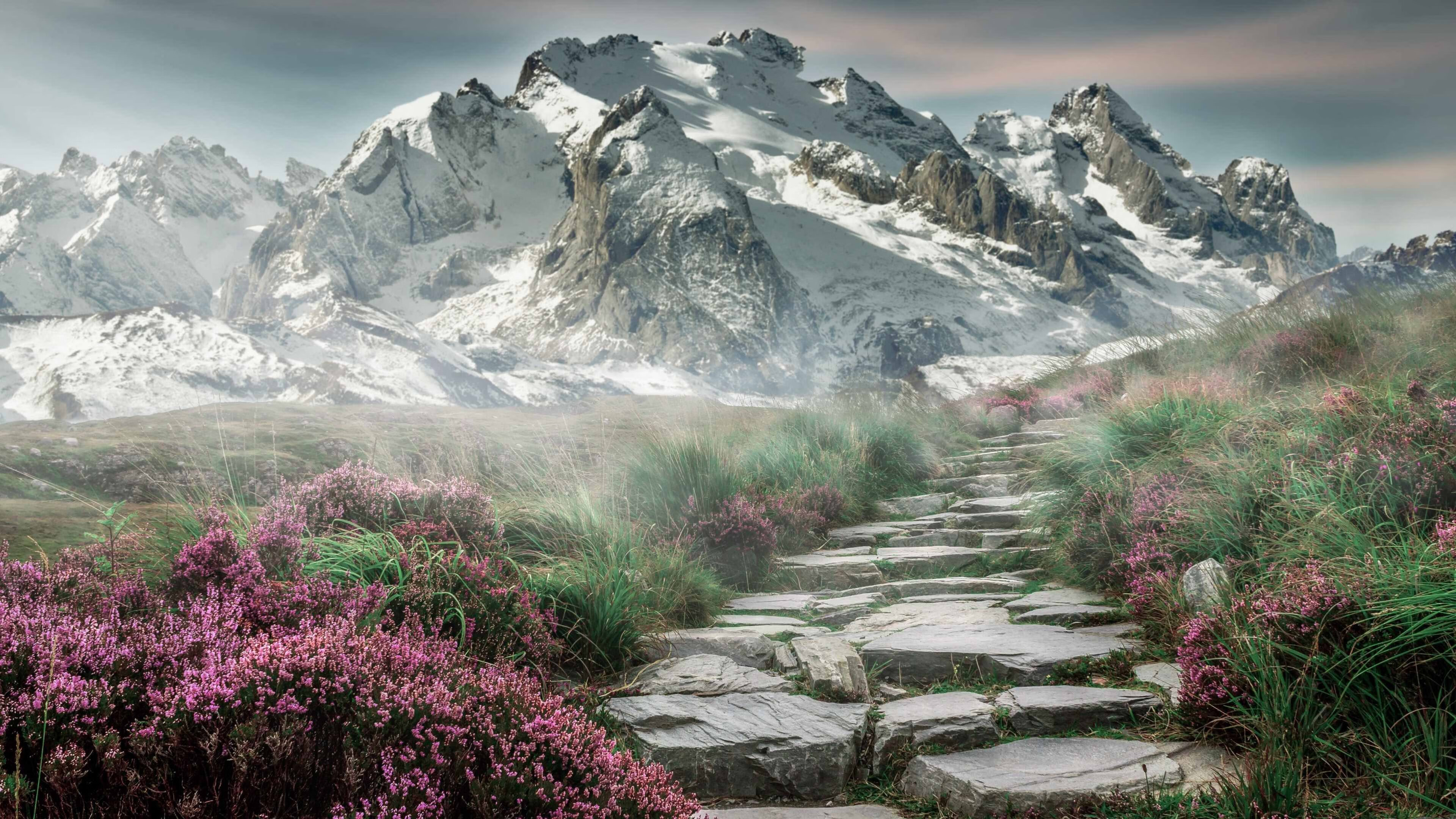 乐鱼（LEYU）体育-夺冠“秘密武器”：战术大师的奇兵揭秘，战术大师小说-乐鱼（LEYU）体育