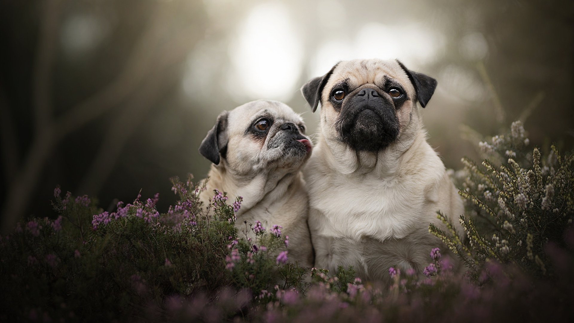 乐鱼电竞-特色篮球夏令营让孩子们在运动中成长，收获友谊与健康，篮球夏令营活动方案-乐鱼电竞