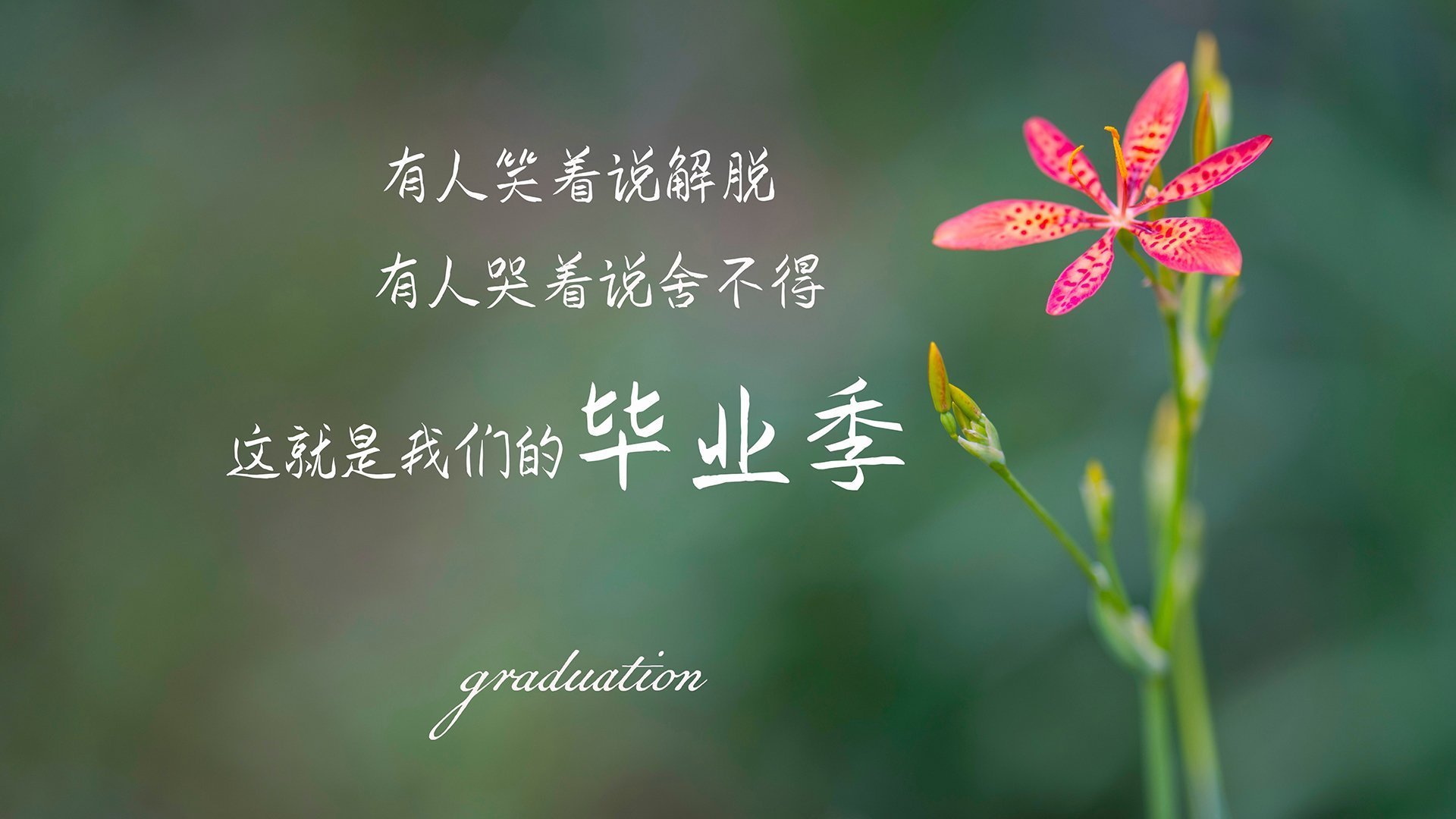 乐鱼体育平台app下载-绿色能源项目：F1新能源未来，绿色能源gsc-乐鱼体育平台app下载