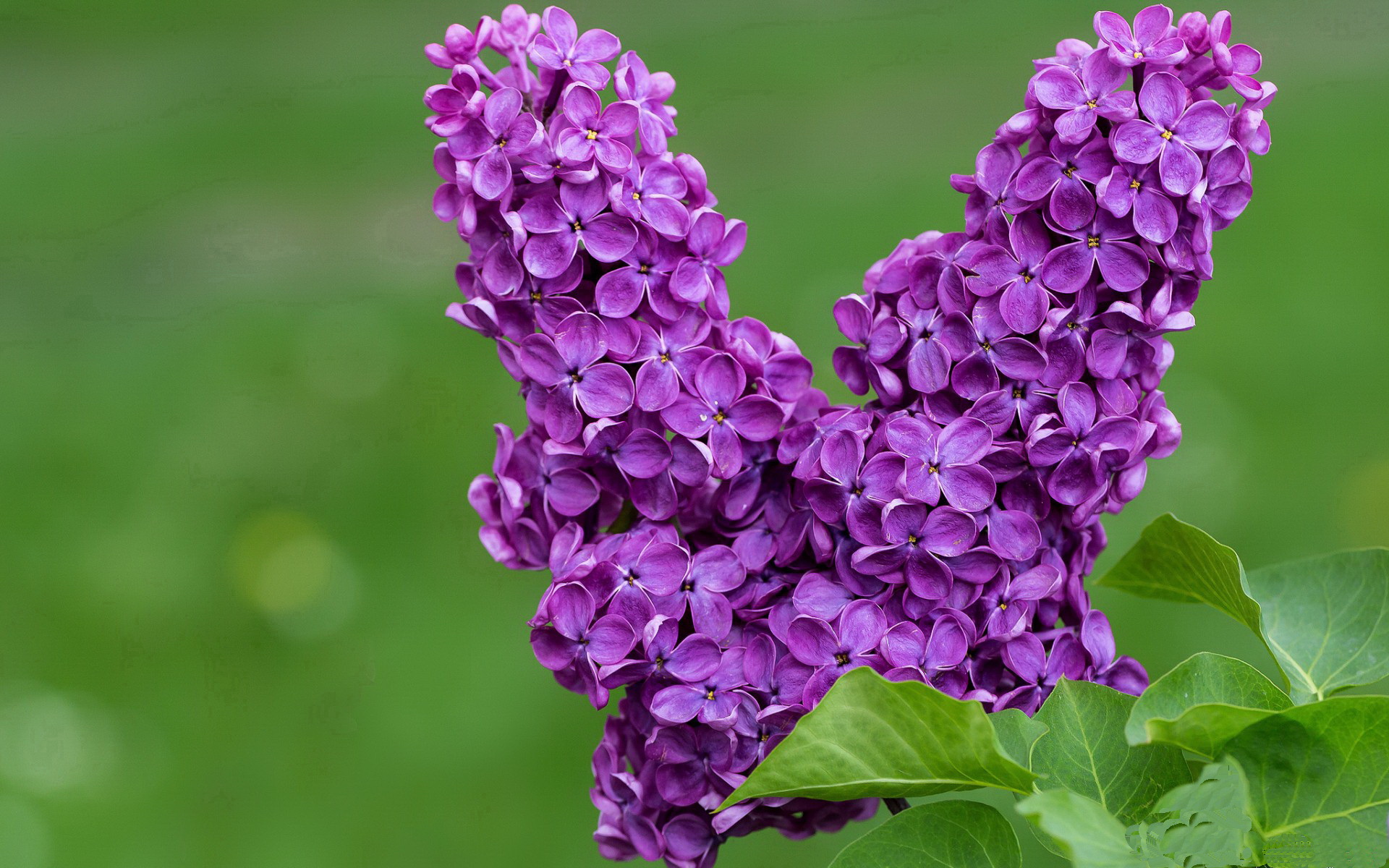 绿色节能:F1的环保行动计划,绿色环保节能产品