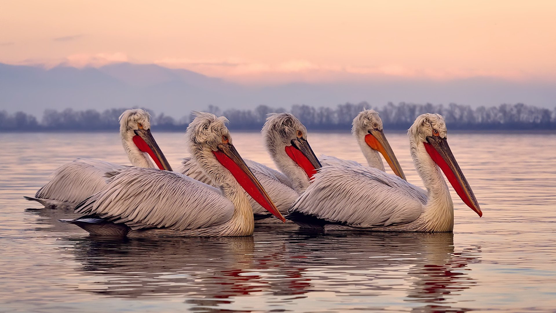 Leyu Sport登录入口-罗马州德比敞开战幕，两队凶猛对碰，罗马德比和米兰德比-Leyu Sport登录入口