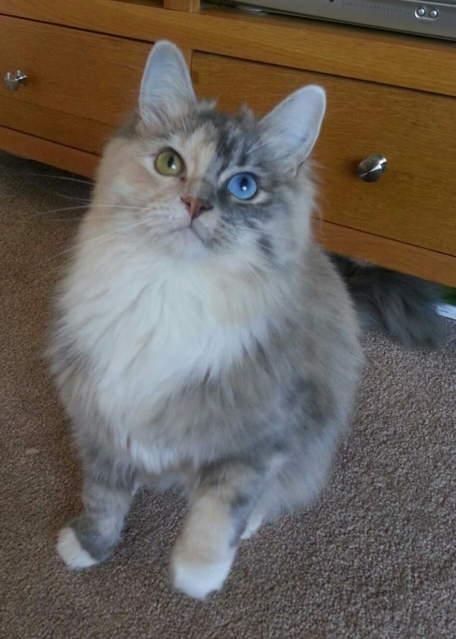 乐鱼电竞-莱比锡红牛胜券在握，已连续三轮不败，莱比锡红牛实力如何_-乐鱼电竞