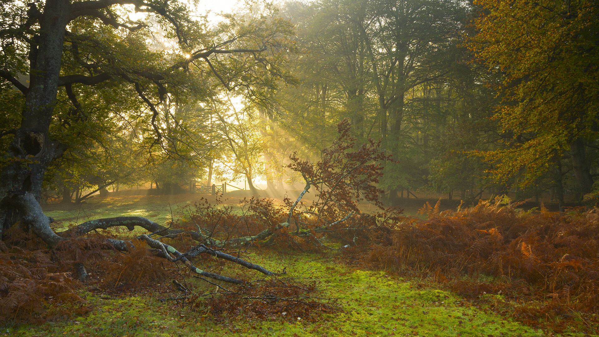 乐鱼vip-辽宁男篮惊险获胜，领先优势进一步扩大，我想了解一下辽宁男篮-乐鱼vip