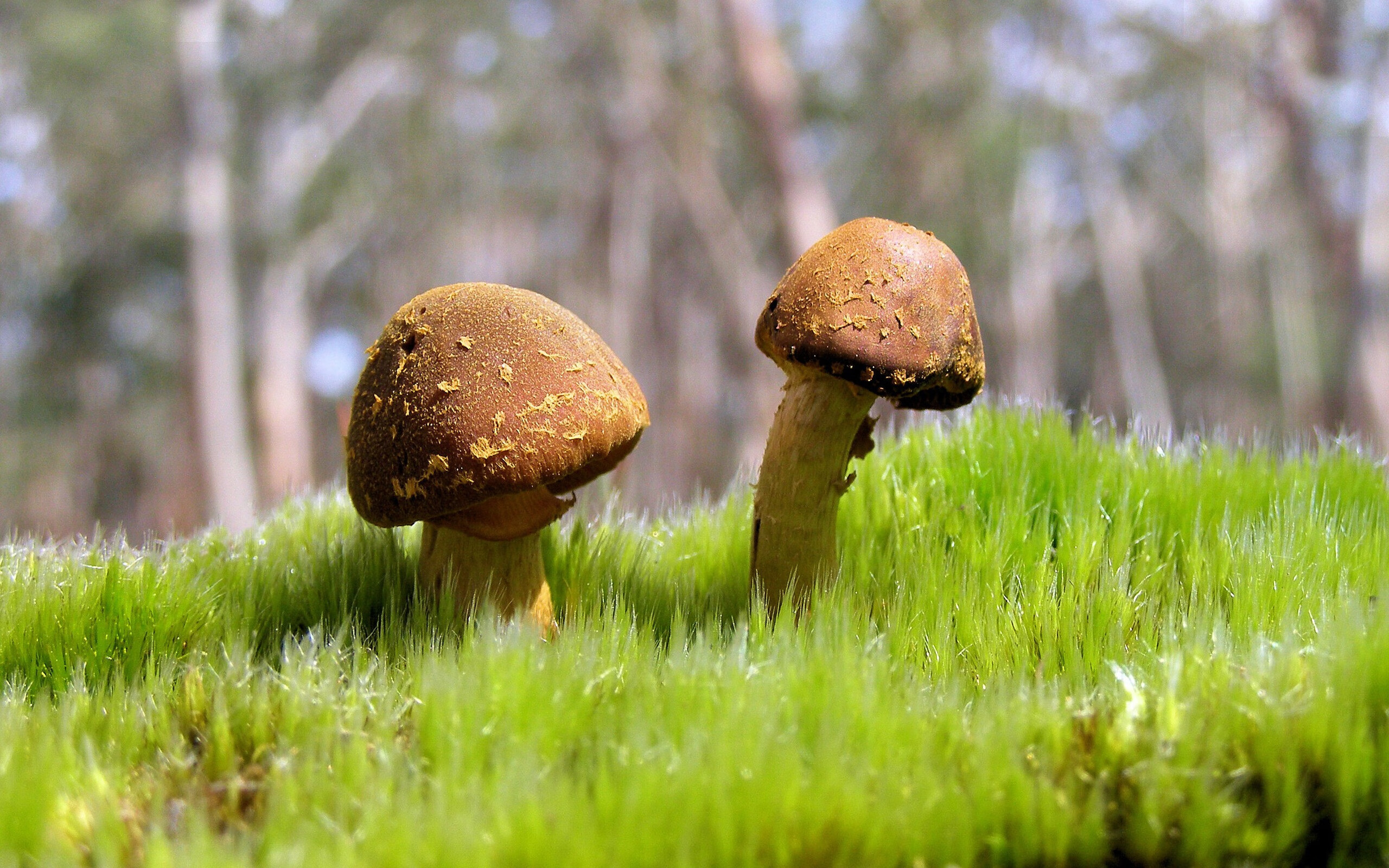 leyu乐鱼-全球最高水平的国际友谊赛在多地盛大举行，国际友谊赛是什么比赛-leyu乐鱼