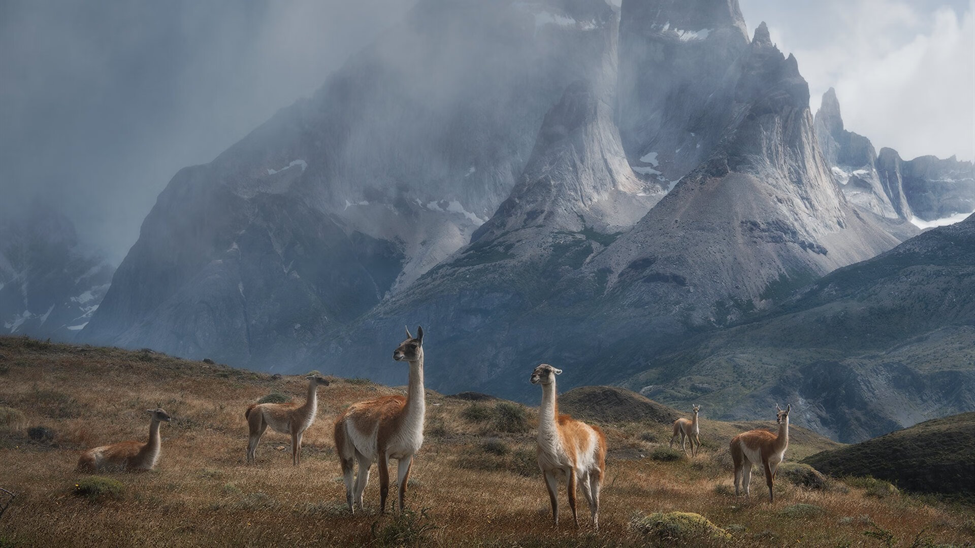 leyu乐鱼官网登录入口-决赛对抗激烈 克莱尔展现大将之风，克莱尔完成比赛-leyu乐鱼官网登录入口