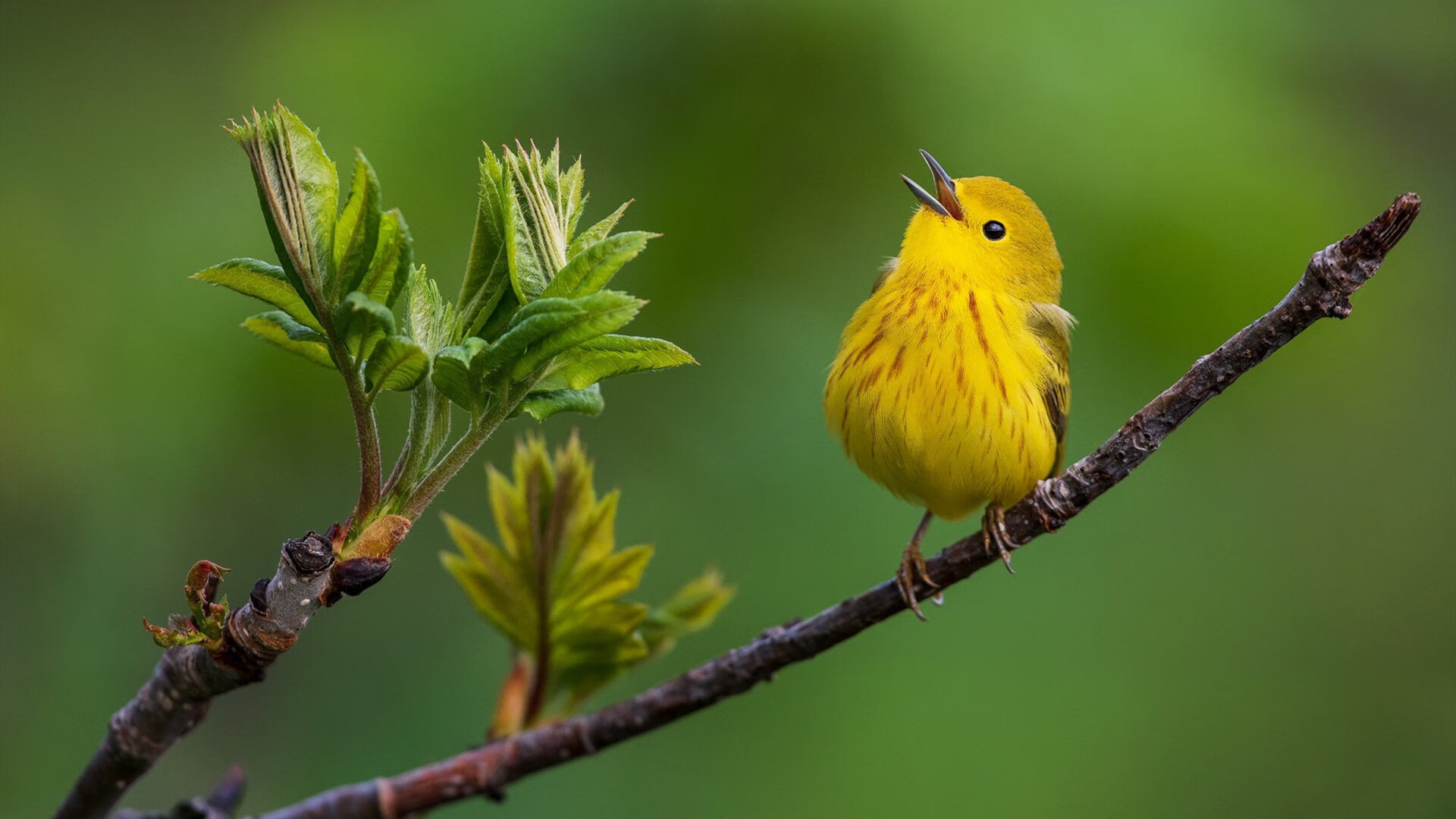 乐鱼体育APP官方下载-国足备战亚预赛集训时间确定，国足亚预赛出线-乐鱼体育APP官方下载