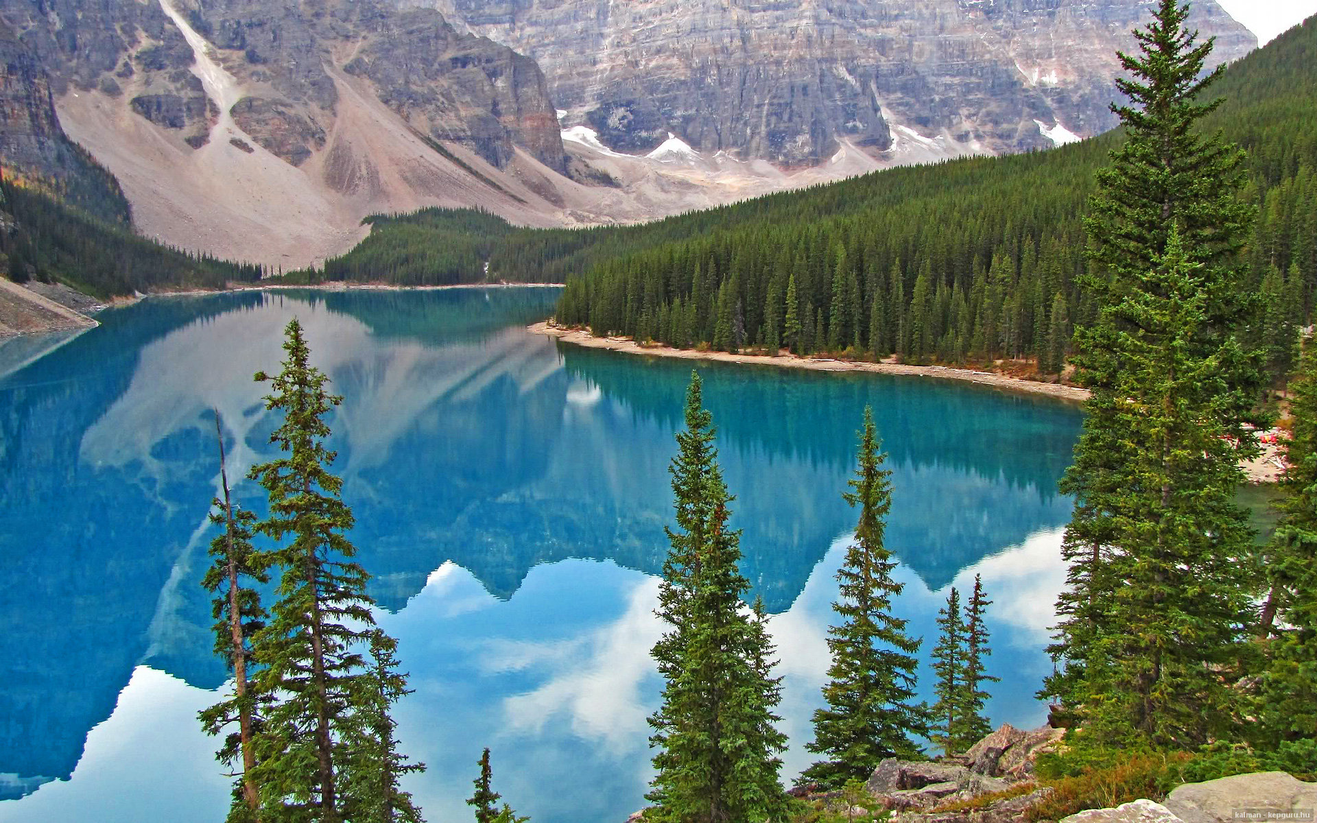 朝鲜仰泳选手状态回暖,朝鲜仰泳选手状态回暖视频