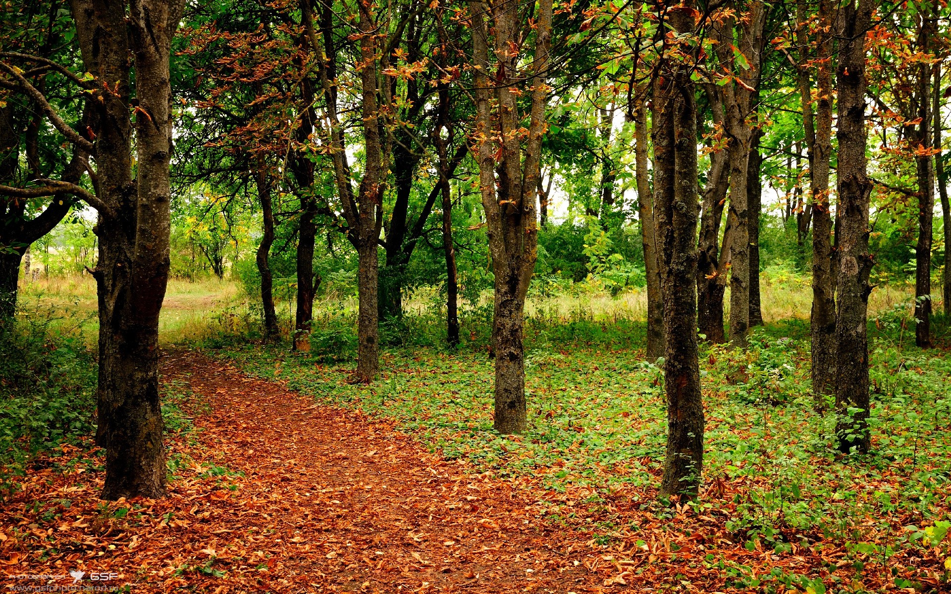 英超激烈较量:每场都是精彩盛宴!,英超全场集锦