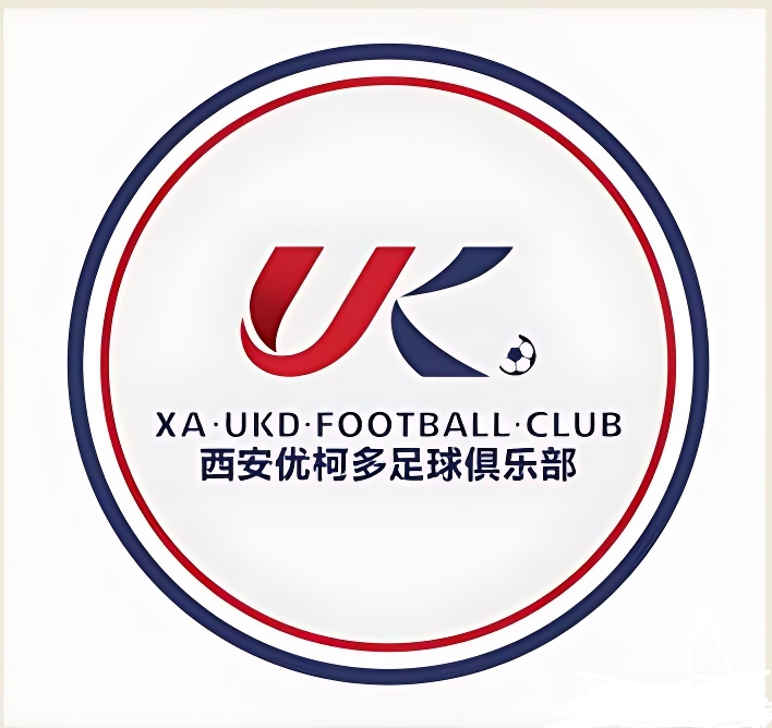 乐鱼体育：中国足球协会发布新规，推动联赛公平竞争的简单介绍-乐鱼官网